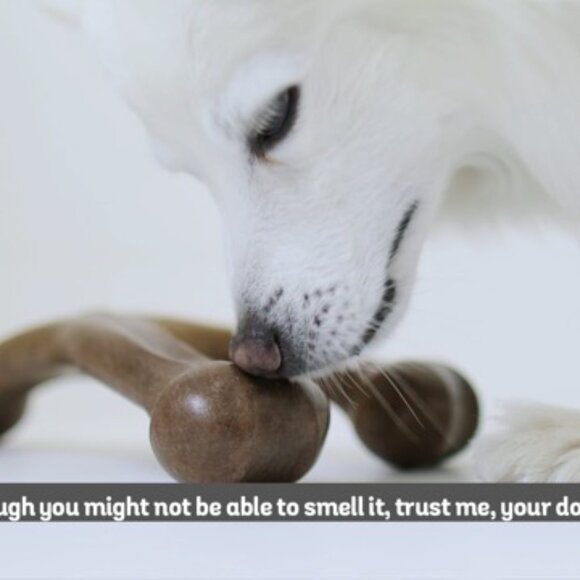 Durable Dog Chew Toy for Aggressive Chewers Real Bacon Flavor Medium Size - Picture 8 of 8